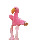 ;flamingo